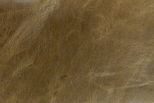 basil fabric sample