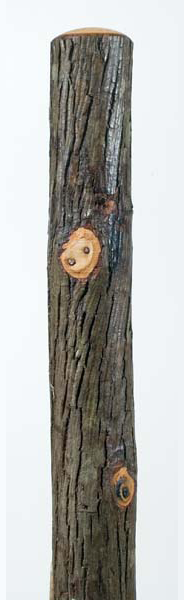 natural bark finish